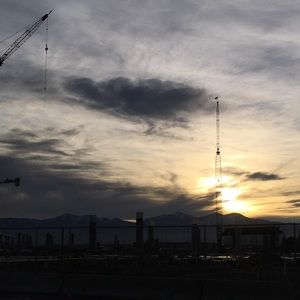 Meet your Posher, Lexi